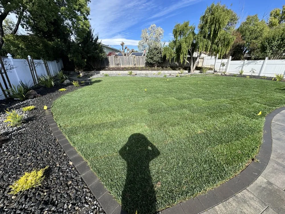 Local yard cleanup service for outdoor upgrades across Tracy, CA - Herman Landscaping and Sprinkle Service