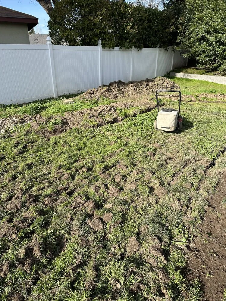 Custom landscape design experts serving Tracy, CA - Herman Landscaping and Sprinkle Service