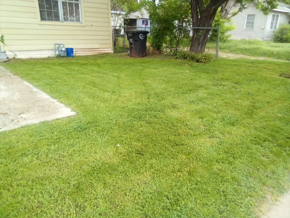 Affordable lawn care service for year-round maintenance in Cleburne, TX by Herman Lawn Care Service
