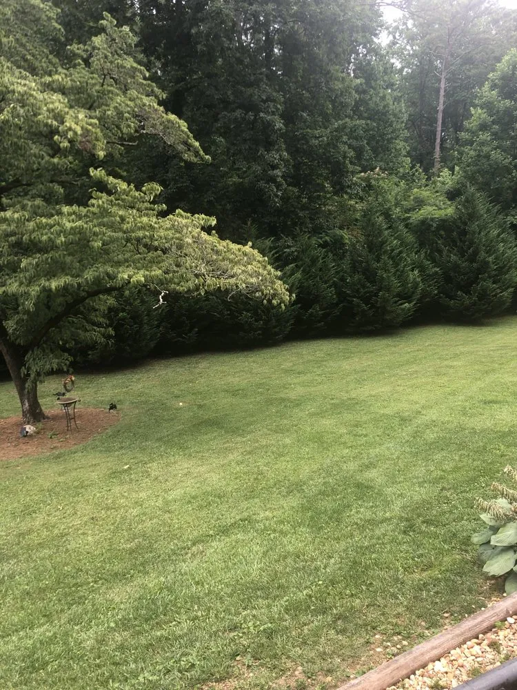 Reliable lawn mowing service for homes across Marianna, FL - Hermann Lawn Service