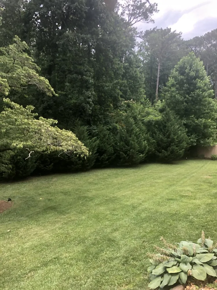 Affordable yard cleanup service for residential properties across Marianna, FL - Hermann Lawn Service