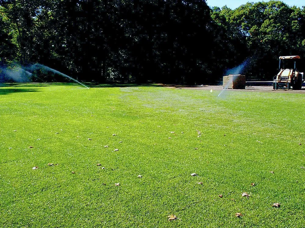 Custom yard cleanup service in Huntington, NY - Hermann Lindau & Son Sodding Seeding