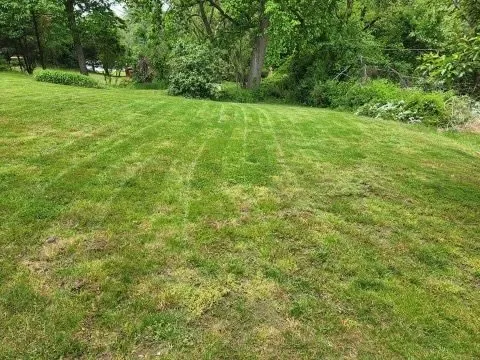 Expert landscape design experts serving Elkton, MD - Hermanns Lawn Service