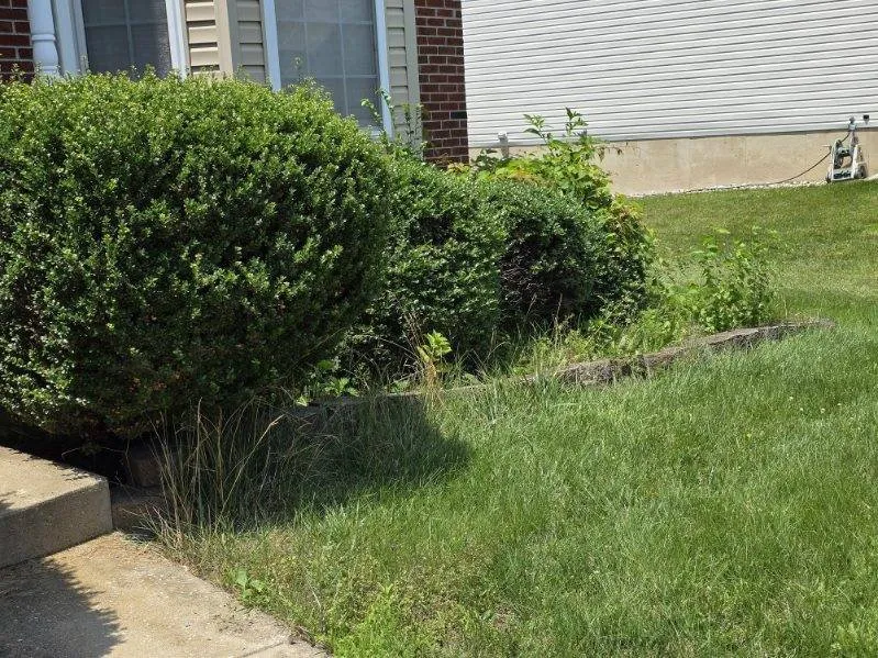 Affordable landscaping services for year-round maintenance in North East, MD by Hermanns Lawn Service