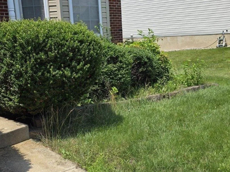 Custom yard cleanup service in North East, MD by Hermanns Lawn Service