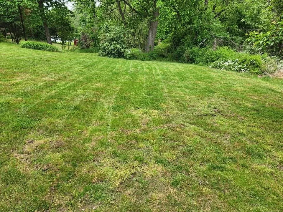 Custom landscape installation in North East, MD by Hermanns Lawn Service