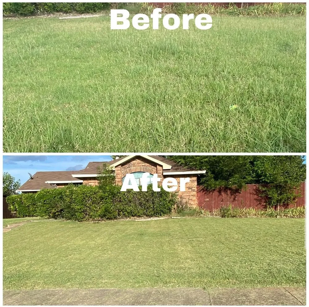 Affordable garden landscaping for outdoor upgrades in Cedar Hill, TX by Hermano’s Lawn Care
