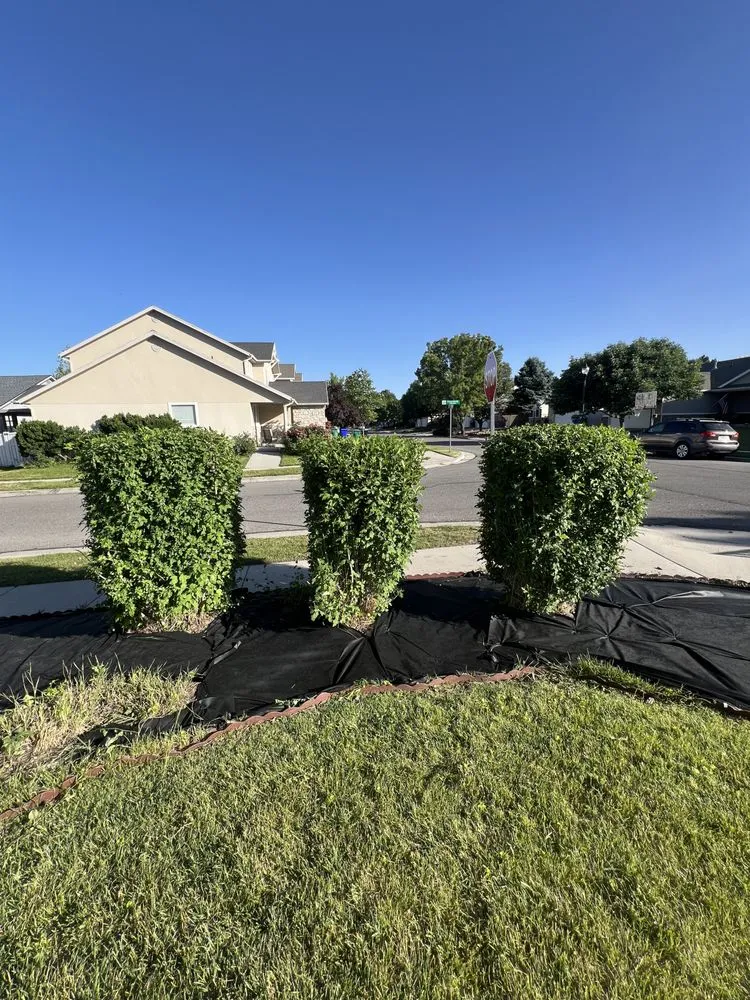 Reliable yard cleanup service in West Jordan, UT - Hermanos Maintenance