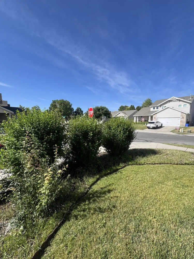 Top-rated lawn mowing service with custom design in West Jordan, UT by Hermanos Maintenance