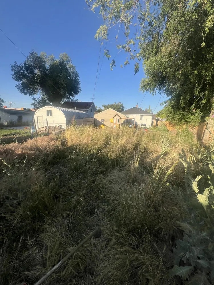 Reliable residential landscaping for year-round maintenance in West Jordan, UT by Hermanos Maintenance