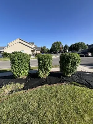 Hermanos Maintenance Logo