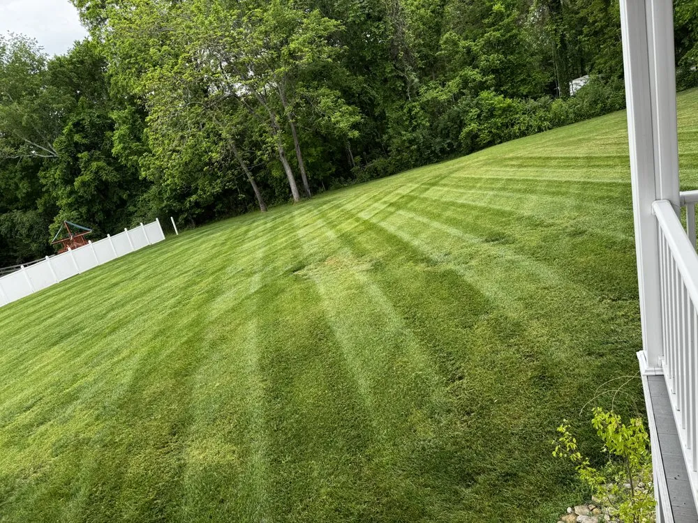 Local landscape design experts serving Morristown, TN - Hermanos Pedraza's Lawn Care and More