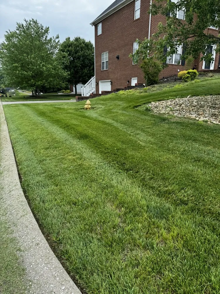 Affordable landscape installation experts serving Morristown, TN - Hermanos Pedraza's Lawn Care and More