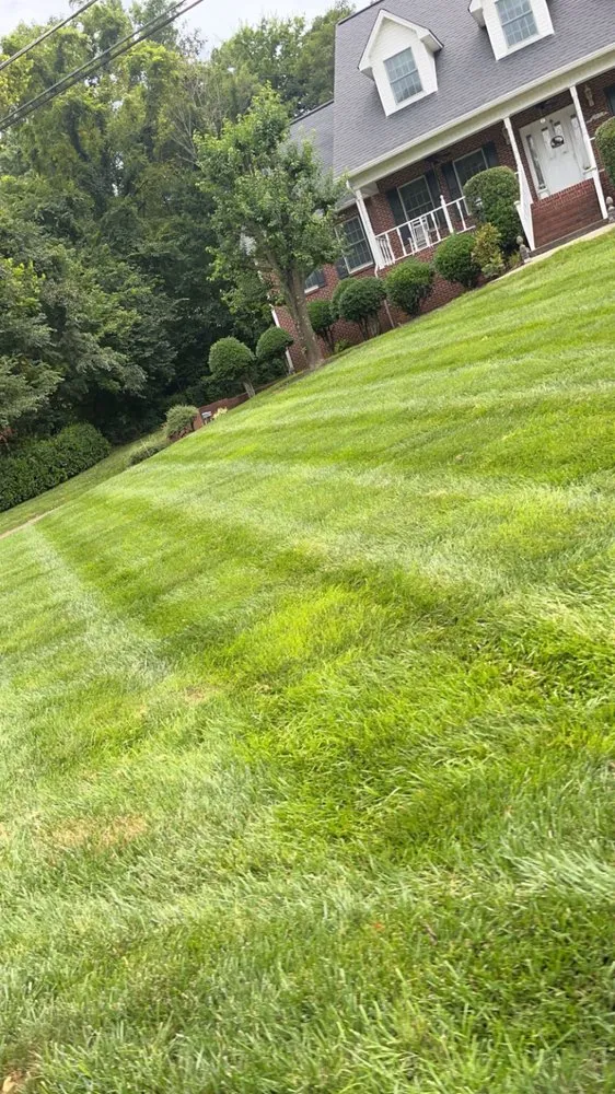 Local landscape design experts serving Morristown, TN - Hermanos Pedraza's Lawn Care and More