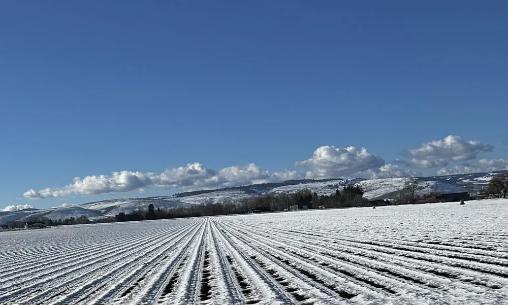 Custom yard maintenance experts serving Yakima, WA - Herman's Landscaping
