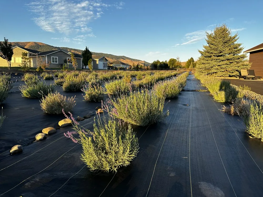 Reliable yard maintenance near you in Yakima, WA by Herman's Landscaping