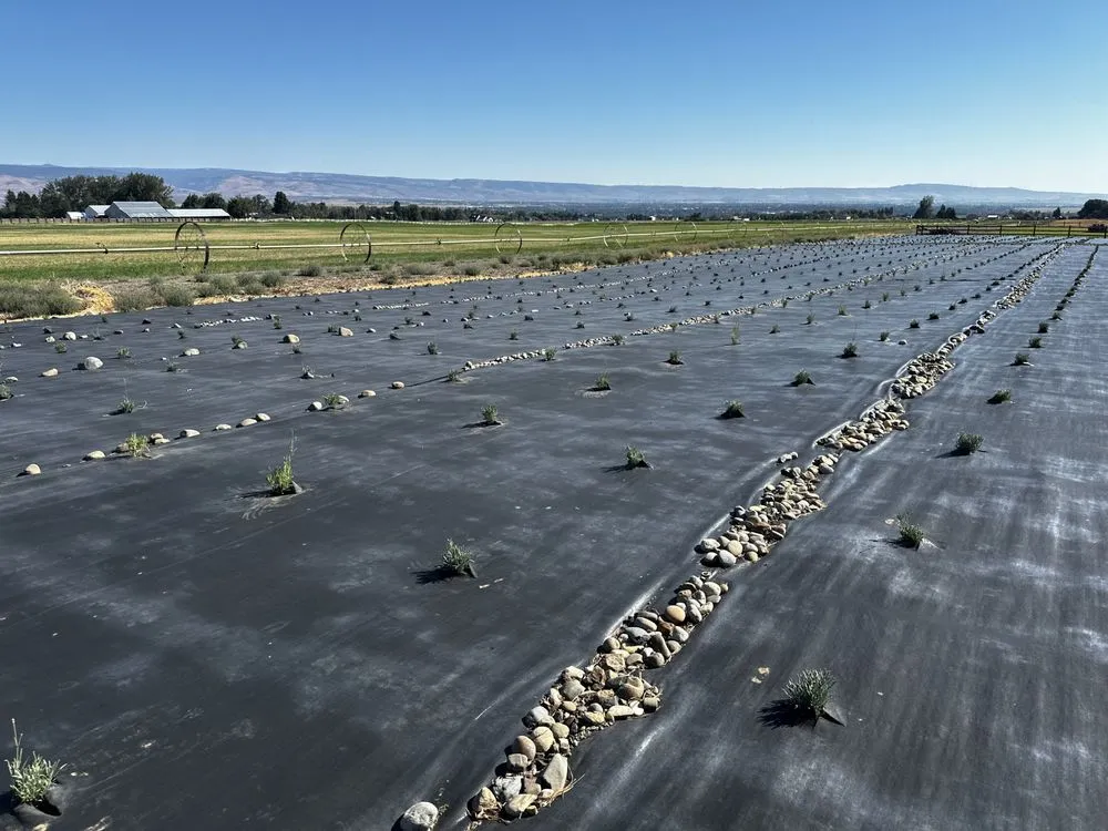 Affordable garden landscaping with custom design in Yakima, WA by Herman's Landscaping