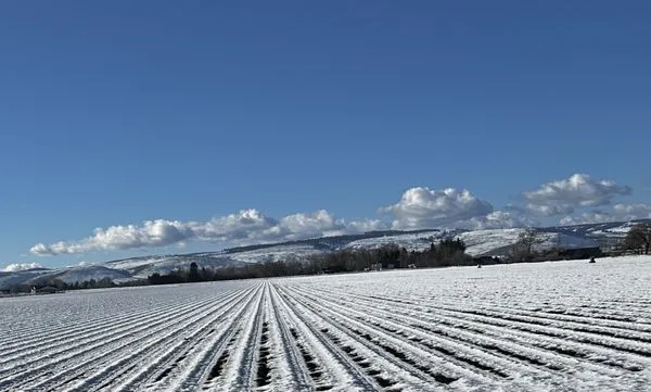 Herman's Landscaping