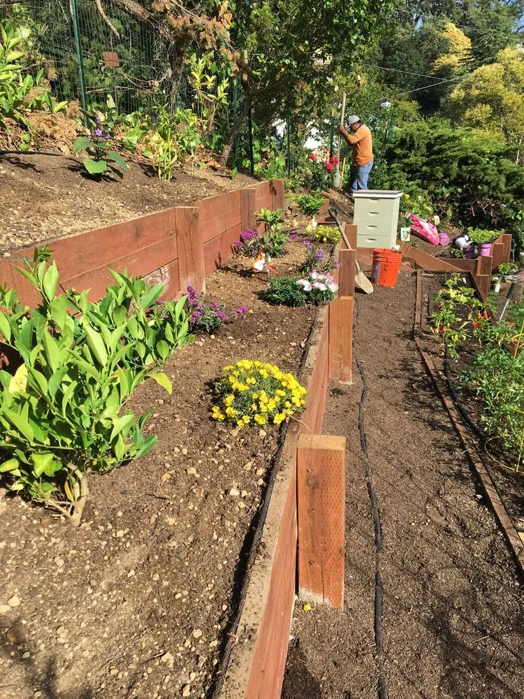 Reliable lawn mowing service in San Rafael, CA - Hermelindo Landscaping