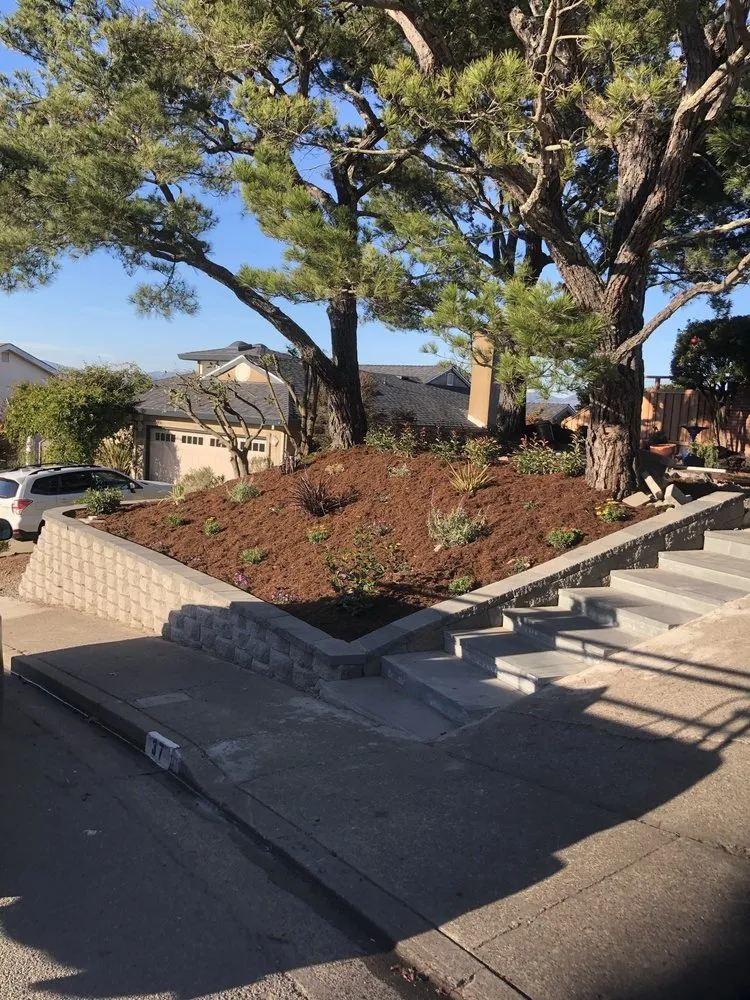 Top-rated lawn mowing service in San Rafael, CA by Hermelindo Landscaping