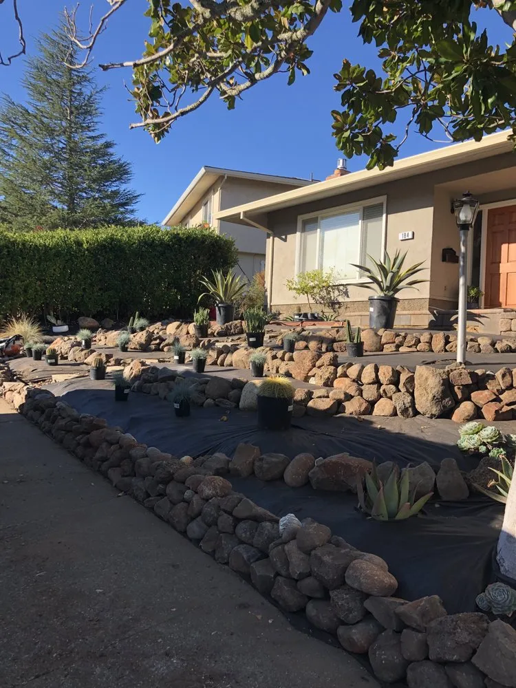 Professional yard maintenance in San Rafael, CA - Hermelindo Landscaping