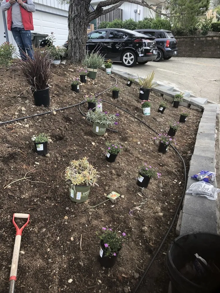 Custom lawn mowing service experts serving San Rafael, CA - Hermelindo Landscaping