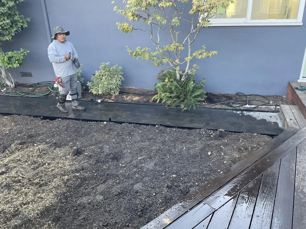 Top-rated landscape design in San Rafael, CA - Hermelindo Landscaping