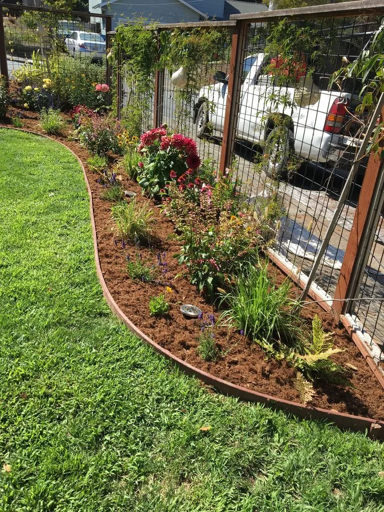 Professional landscape design with custom design across San Rafael, CA - Hermelindo Landscaping