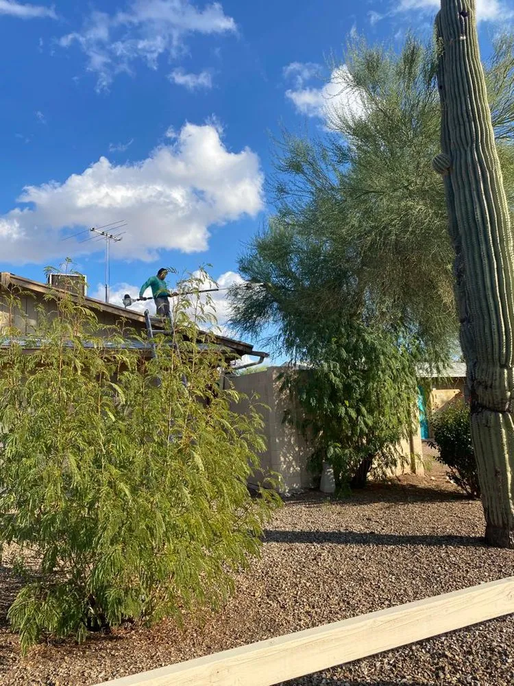 Professional landscape design experts serving Mesa, AZ - Hermi Garcia Landscaping