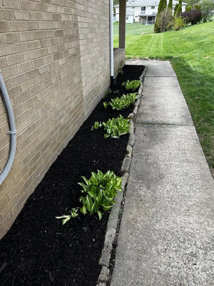 Expert lawn care service in Canton, OH by Hermick Lawn Maintenance