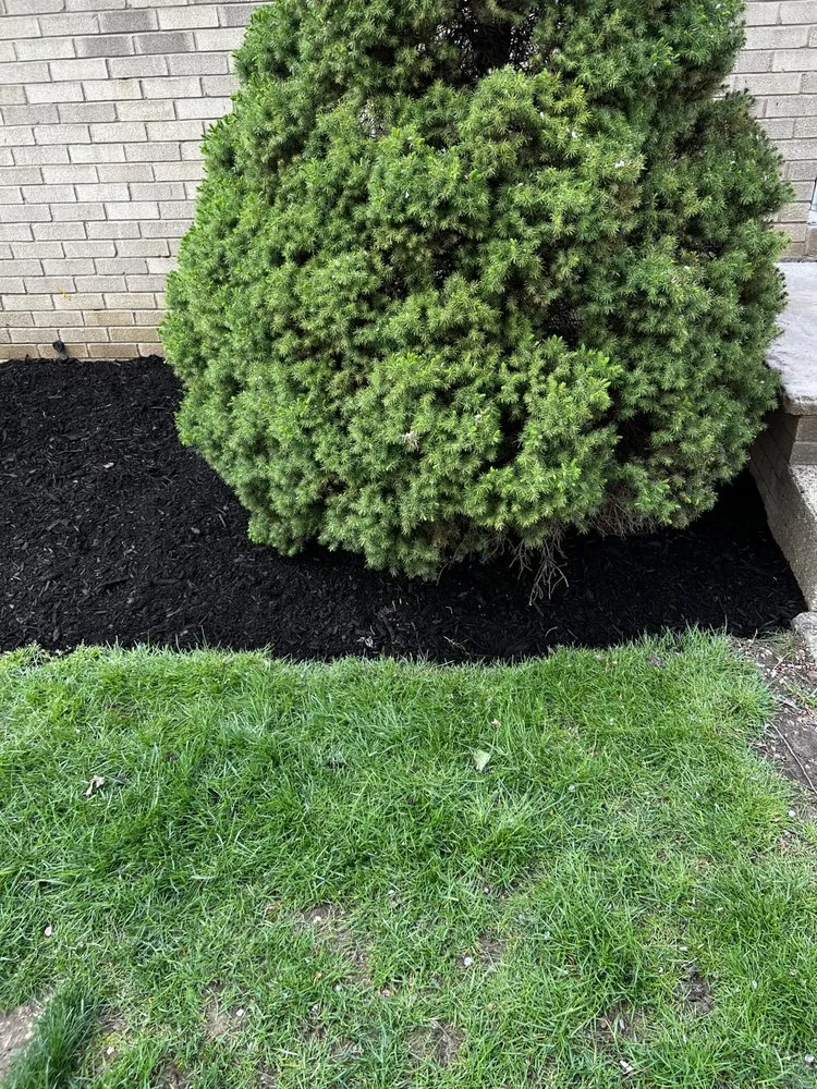 Expert yard maintenance for outdoor upgrades across Canton, OH - Hermick Lawn Maintenance