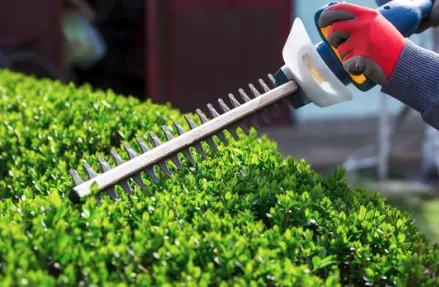 Top-rated yard cleanup service for homes in Canton, OH by Hermick Lawn Maintenance