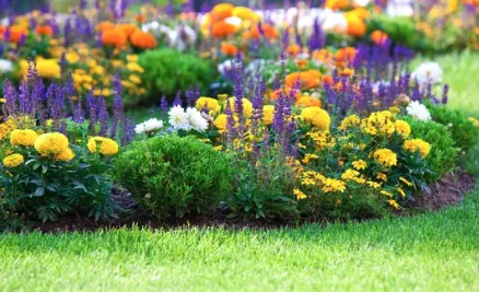 Trusted lawn care service experts serving Canton, OH - Hermick Lawn Maintenance