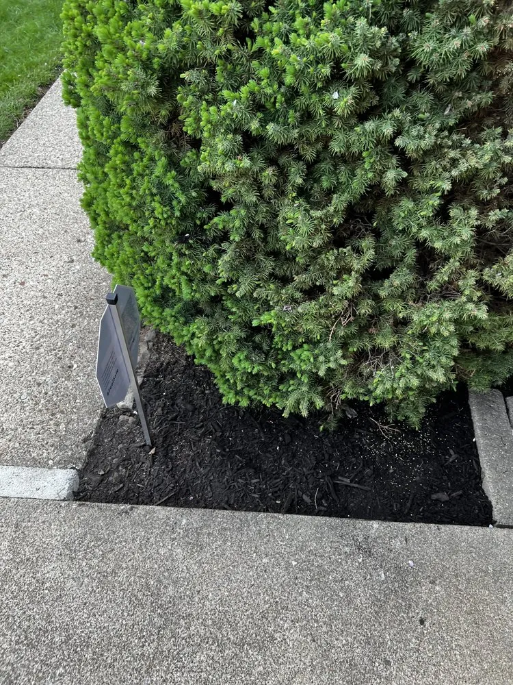 Reliable landscaping services for homes in Canton, OH by Hermick Lawn Maintenance