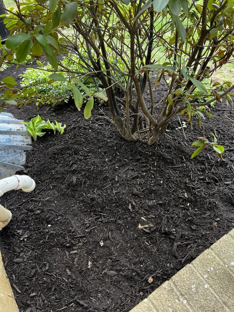 Local yard maintenance for residential properties across Canton, OH - Hermick Lawn Maintenance