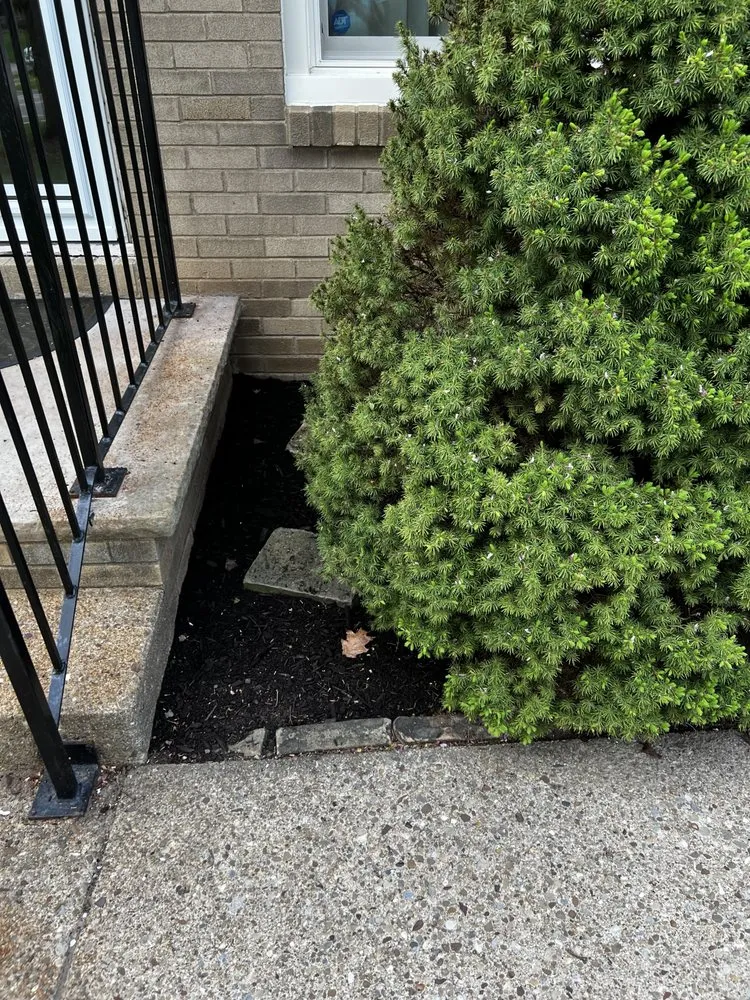 Trusted lawn care service experts serving Canton, OH - Hermick Lawn Maintenance