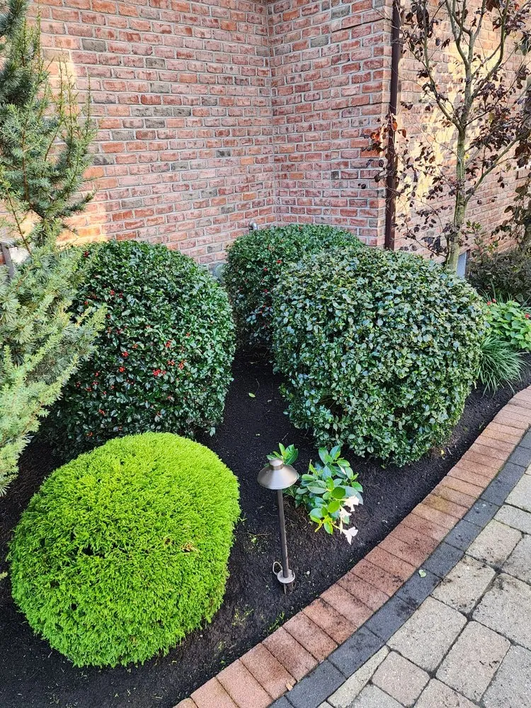 Top-rated lawn care service in Providence, RI by Herminio A estrada landscaping