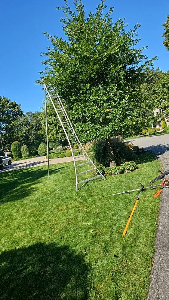 Trusted garden landscaping in Providence, RI - Herminio A estrada landscaping