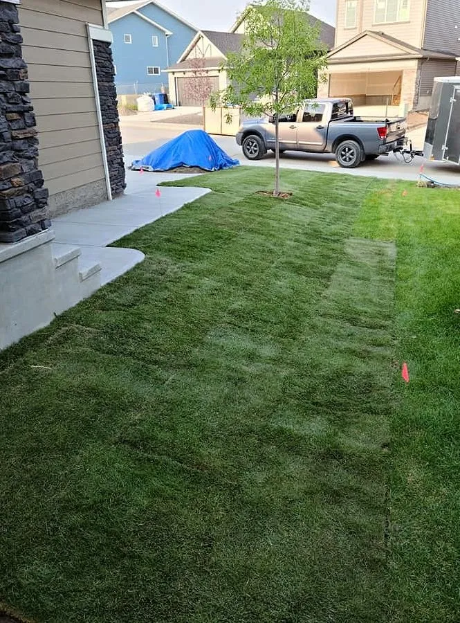 Affordable landscape design in Los Angeles, CA - Hermon Lawn Care