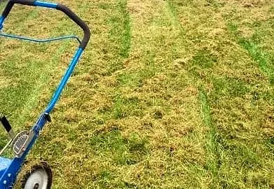 Reliable garden landscaping in Los Angeles, CA by Hermon Lawn Care