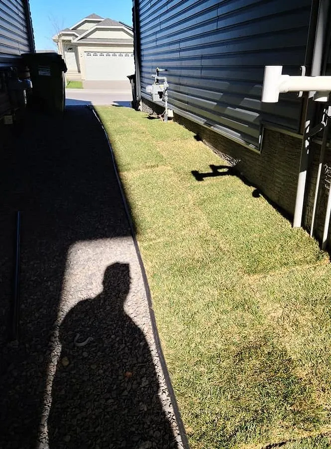 Affordable lawn mowing service near you in Los Angeles, CA by Hermon Lawn Care