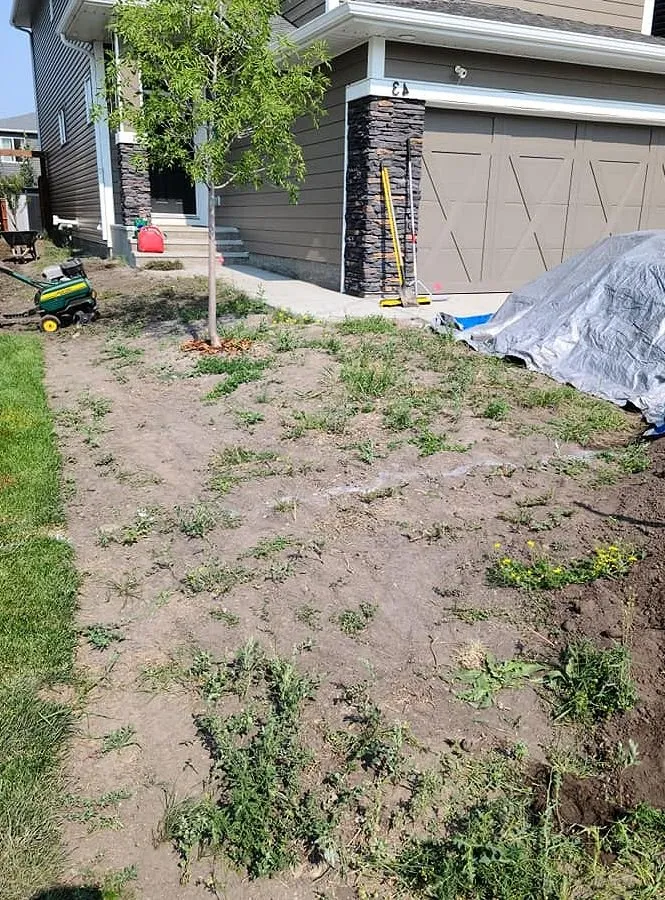 Professional lawn mowing service near you in Los Angeles, CA by Hermon Lawn Care