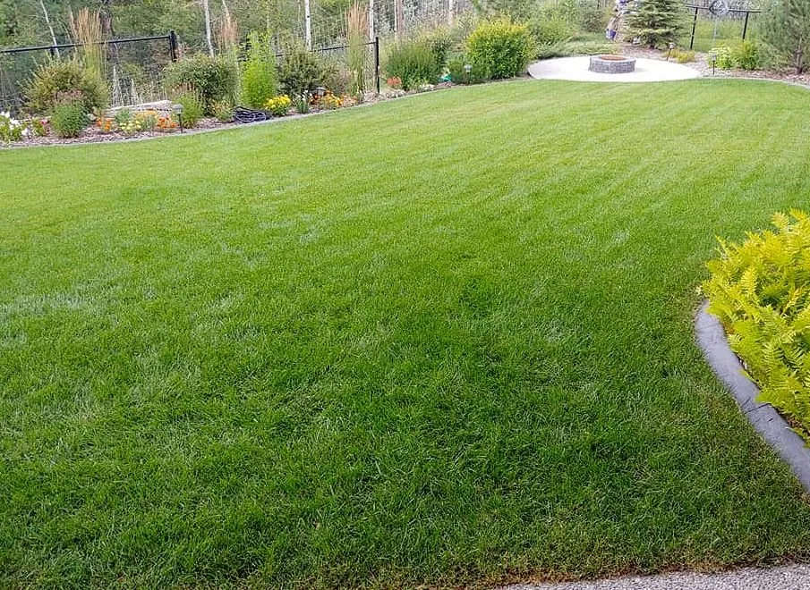 Trusted garden landscaping for year-round maintenance in Los Angeles, CA by Hermon Lawn Care