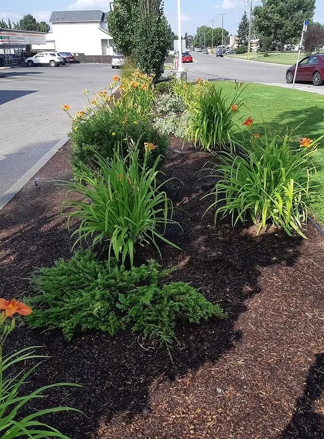 Custom garden landscaping in Los Angeles, CA - Hermon Lawn Care