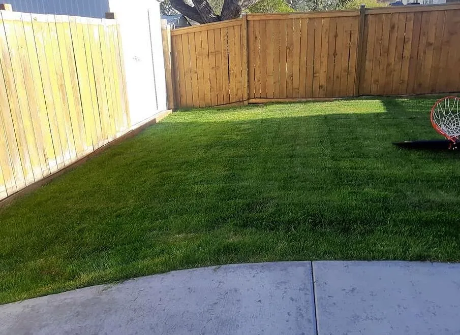 Expert landscape installation for year-round maintenance in Los Angeles, CA by Hermon Lawn Care