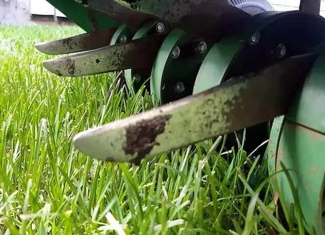 Top-rated lawn mowing service for residential properties across Los Angeles, CA - Hermon Lawn Care