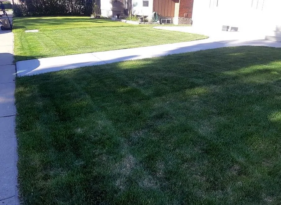 Expert landscape installation in Los Angeles, CA by Hermon Lawn Care