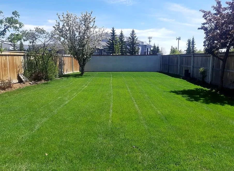 Expert landscape installation for outdoor upgrades across Los Angeles, CA - Hermon Lawn Care