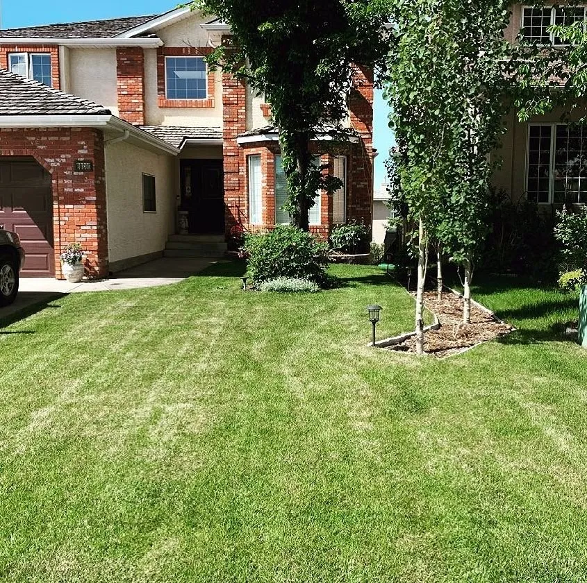 Top-rated garden landscaping for outdoor upgrades in Los Angeles, CA by Hermon Lawn Care