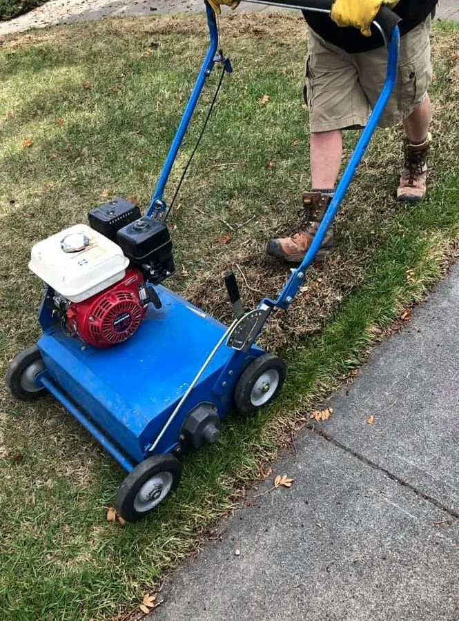 Expert residential landscaping in Los Angeles, CA by Hermon Lawn Care